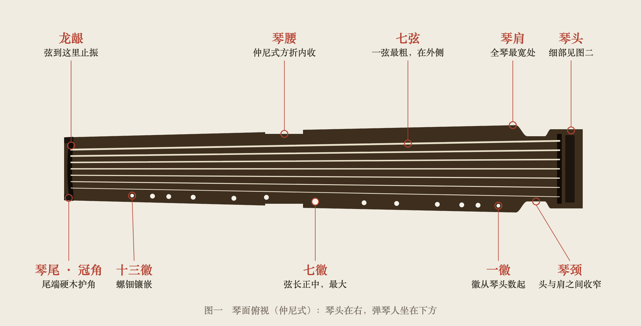 琴面俯视(仲尼式):琴头、琴颈、琴肩、琴腰、琴尾,七弦与十三徽